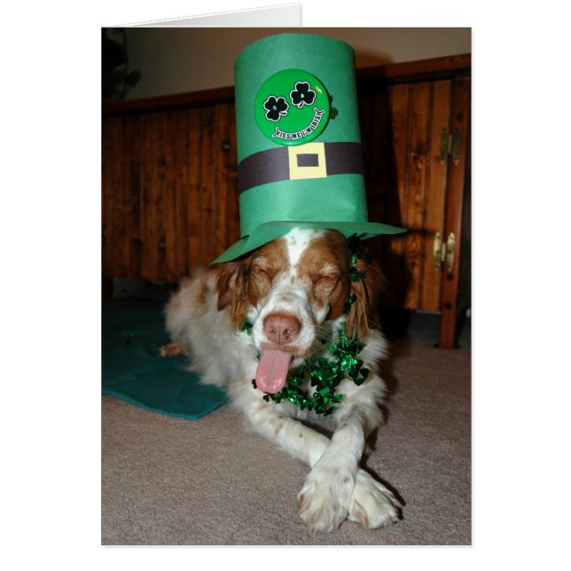 BRITNEY O'STOCK (Voorkant)