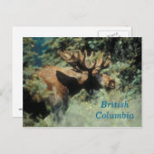 Brits briefkaart (Voorkant / Achterkant)