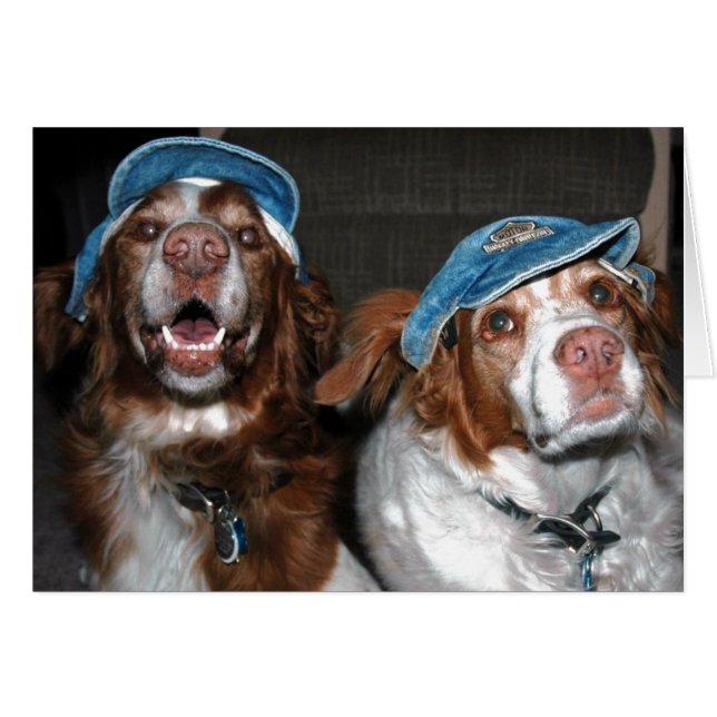 BRITS IN PETTEN (Voorkant Horizontaal)