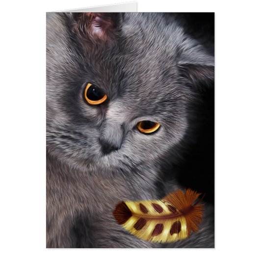 Brits kat met korte haar, blanco verf (Voorkant)