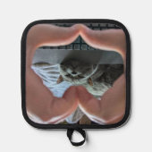 Brits Korthaar Cat Kat in Hart Pannenlap (Voorkant)