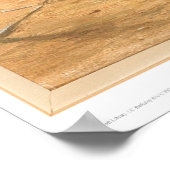 Brits schip "Viscata" gebleekt (0533A) Poster (Hoek)