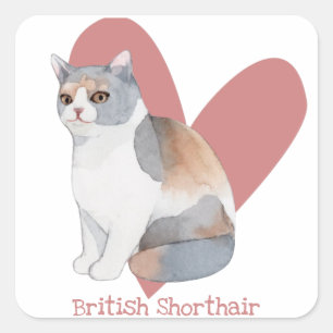 Brits Waterverf met horthair kat Kat roze hart Vierkante Sticker
