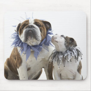 Britse bulldog en puppy met een jesterkraag, muismat