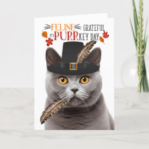 Britse Grijze Kat Feline Dankbaar voor PURRkey Day Feestdagen Kaart