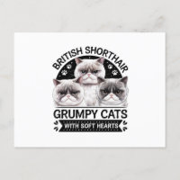 Britse Korthaar Grumpy Cats