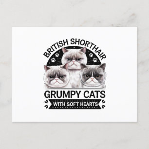 Britse Korthaar Grumpy Cats Briefkaart