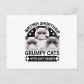 Britse Korthaar Grumpy Cats Briefkaart (Voorkant)