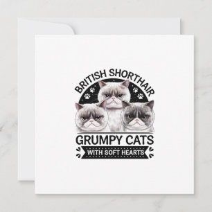 Britse Korthaar Grumpy Cats Kaart