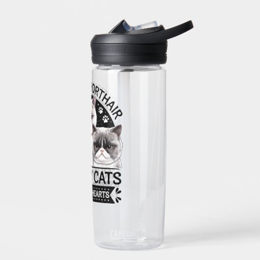 Britse Korthaar Grumpy Cats Waterfles (Links)