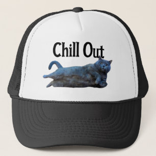 Britse Korthaar Kat Liggend op Side Chill Out Trucker Pet