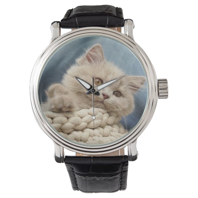 Britse korthaar, kitten, huisdier horloge (Voorkant)
