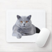 Britse kustkat muismat (Met muis)