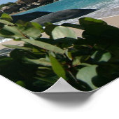 Britse Maagdeneilanden, Gorda, het Baths Beach Poster (Hoek)