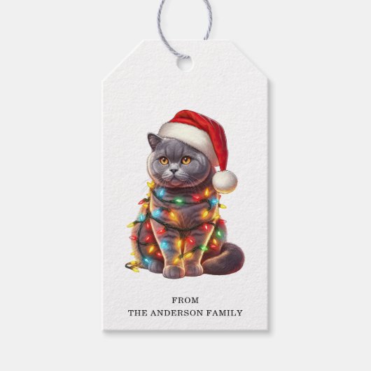 Britse Shorthair Cat Gift Labels Cadeaulabel (Voorkant)