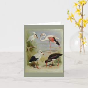 Britse vogels, kunstillustraties kaart
