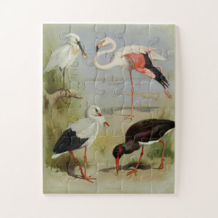 Britse vogels, kunstillustraties legpuzzel