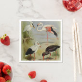 Britse vogels, kunstillustraties servet (Insitu)