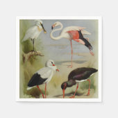 Britse vogels, kunstillustraties servet (Voorkant)