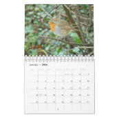 Britse Wildlife Kalender (Jan 2026)
