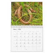 Britse Wildlife Kalender (Mar 2026)