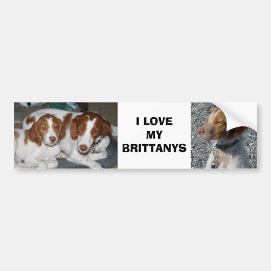 Brittany Bumpersticker (Voorkant)