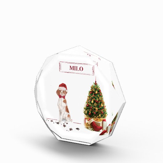 Brittany Funny kersthond en boom Fotoblokken (Rechts)