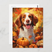 Brittany hond herfst thanksgiving briefkaart (Voorkant / Achterkant)