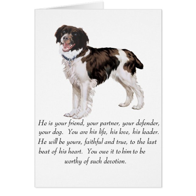 Brittany Keepakes - Mannelijke hond (Voorkant)