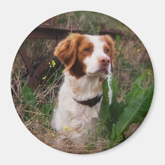 Brittany Magneet (Voorkant)