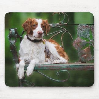 Brittany Mousepad Muismat
