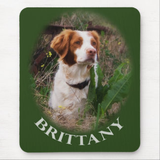 Brittany Muismat