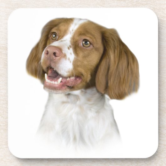 Brittany Onderzetters (Voorkant)