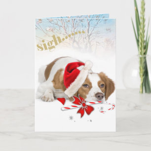 Brittany Père Noël Prend Des Cartes Aussi Longues