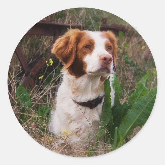 Brittany Ronde Sticker (Voorkant)