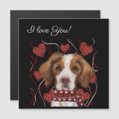 Brittany Spaniel (Voorkant / Achterkant)
