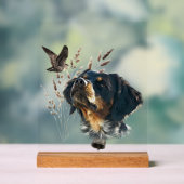 Brittany Spaniel (Neutre)