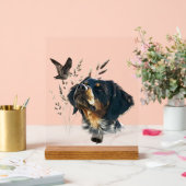 Brittany Spaniel (Mariage)