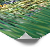 Brittany Spaniel 3 - Lily Pond Bridge Poster (Hoek)