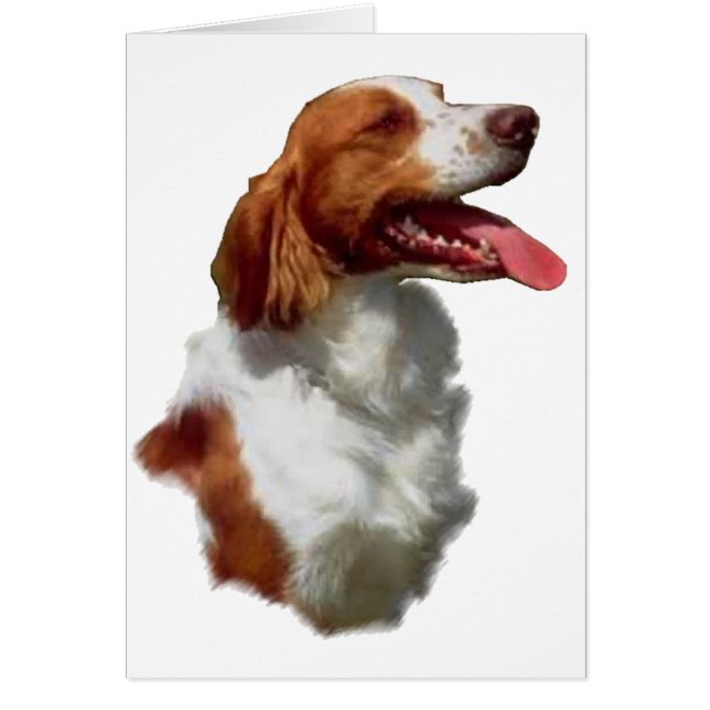 Brittany Spaniel Art Gifts (Voorkant)