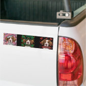 Brittany Spaniel Bumpersticker (Op Truck)