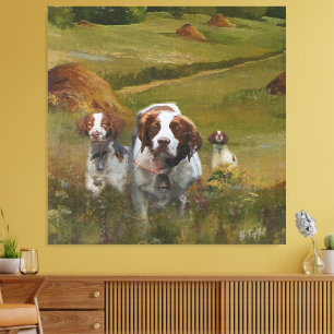 Brittany Spaniel Canvas Afdruk