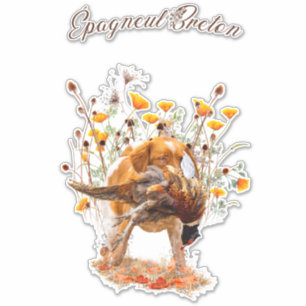 Brittany Spaniel, Chasse Sticker Pheasant