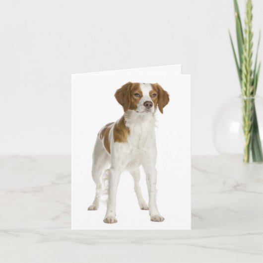Brittany Spaniel Chien Chien Blanc Carte de note (Devant)