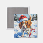 Brittany Spaniel Dog Pointing at Christmas Candy Magneet (Voorkant / Achterkant)