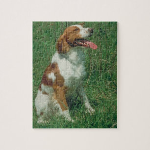 Brittany Spaniel Dog Puzzle Legpuzzel