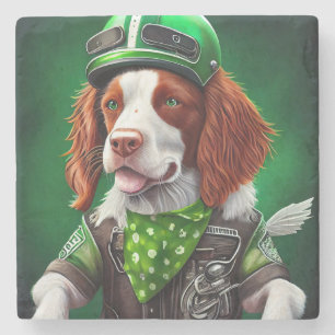 Brittany Spaniel fiets St. Patrick's Day Stenen Onderzetter