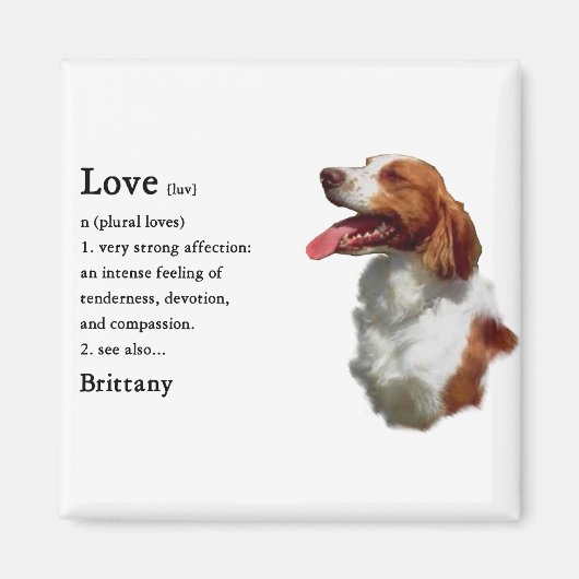 Brittany Spaniel Gifts Magneet (Voorkant)