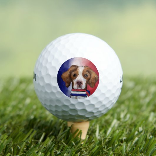 Brittany Spaniel Golfballen (Insitu Shirt)