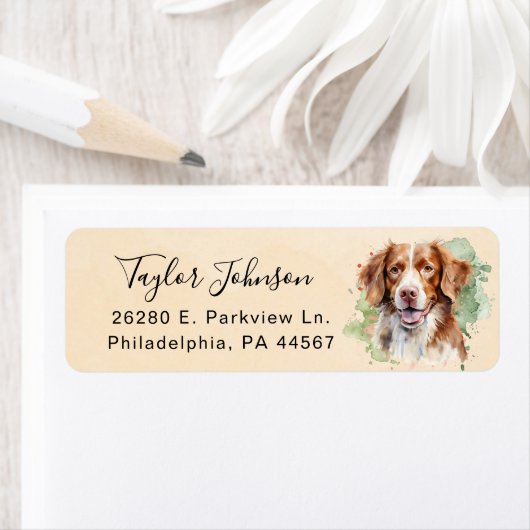 Brittany Spaniel-hond retouradreslabel Etiket (Insitu)